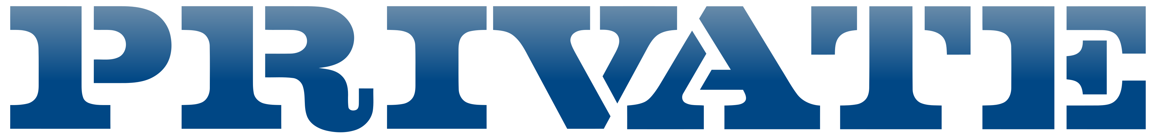Empresa Privada